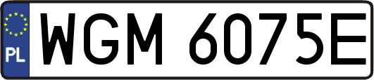 WGM6075E