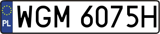 WGM6075H
