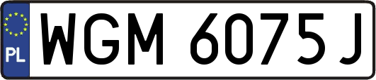 WGM6075J