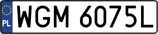 WGM6075L