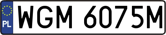 WGM6075M