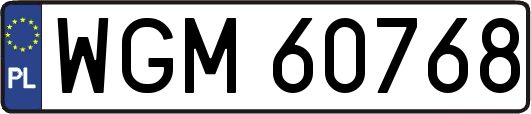 WGM60768