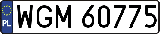 WGM60775