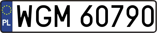 WGM60790
