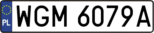 WGM6079A