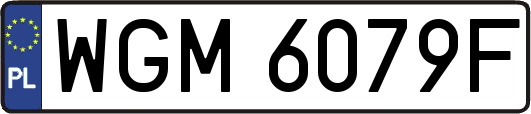 WGM6079F