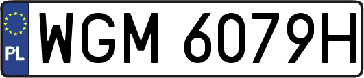 WGM6079H