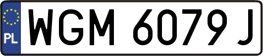 WGM6079J