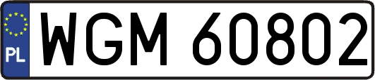 WGM60802