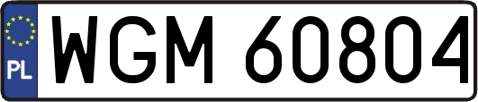 WGM60804