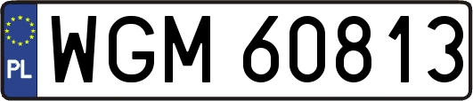 WGM60813