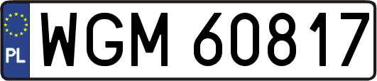 WGM60817