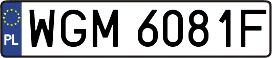 WGM6081F