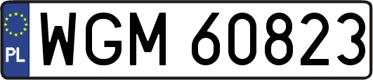 WGM60823