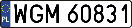WGM60831