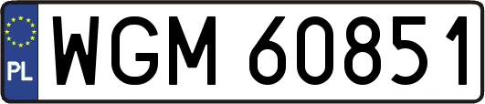 WGM60851