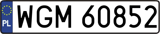 WGM60852