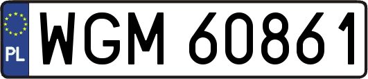 WGM60861