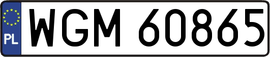WGM60865