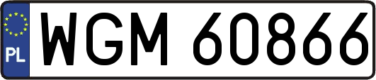 WGM60866