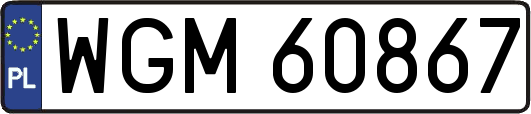 WGM60867