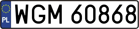 WGM60868