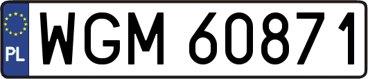 WGM60871