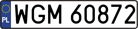WGM60872