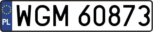 WGM60873