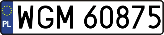 WGM60875