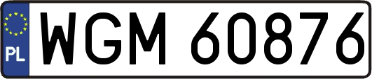 WGM60876