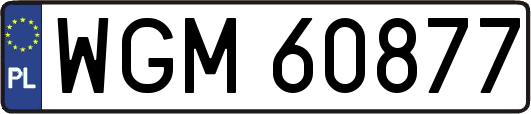 WGM60877