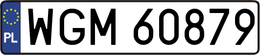 WGM60879