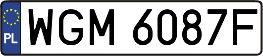 WGM6087F