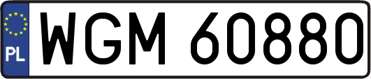 WGM60880