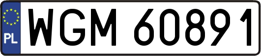 WGM60891