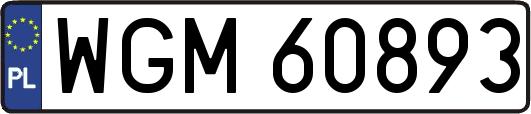 WGM60893