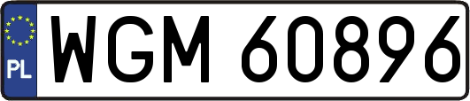 WGM60896