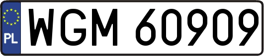 WGM60909