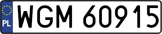 WGM60915