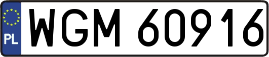 WGM60916