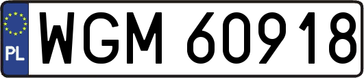 WGM60918