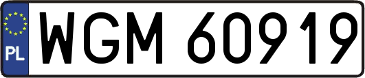 WGM60919