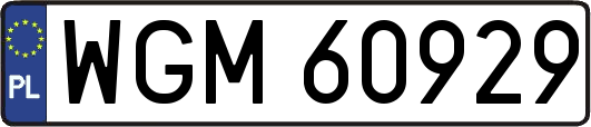 WGM60929