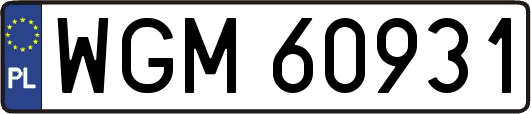 WGM60931