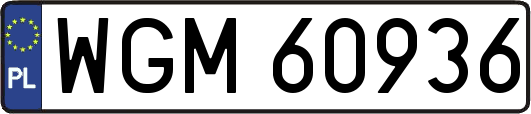 WGM60936