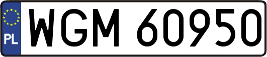 WGM60950