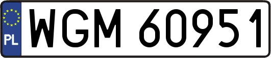 WGM60951