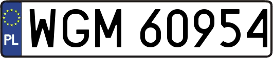 WGM60954