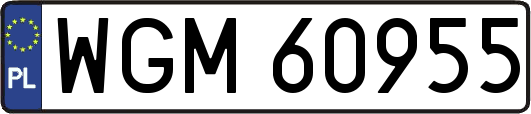 WGM60955